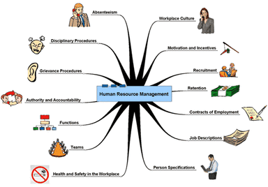 the human resource function in organizations today